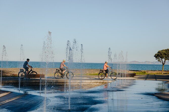 Napier Bike Hire - The Sum Up: Is this experience worth it?
