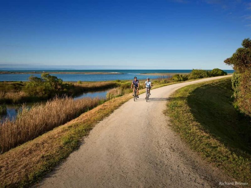Napier: Cape Coast Winery Tour on E-Bikes - Exploring the Hawke’s Bay Wine Region on E-Bikes: An Authentic Day Out