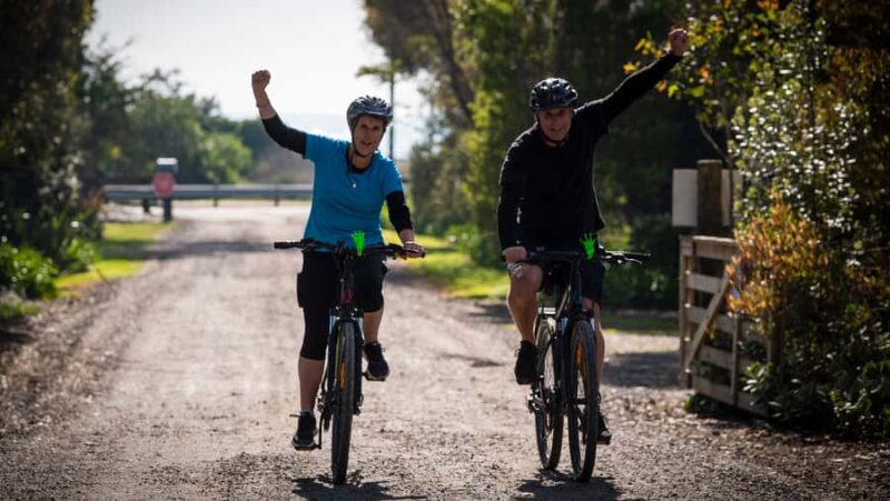 Napier: Cape Coast Winery Tour on E-Bikes - Authentic Experiences and Real Reviews