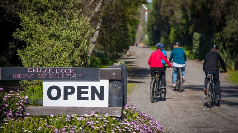 Napier: Cape Coast Winery Tour on E-Bikes - Pricing and Value