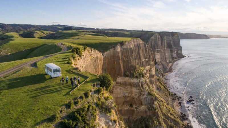 Napier: Cape Kidnappers Gannet, Nature & Sightseeing Tour - The Itinerary: What to Expect from Start to Finish