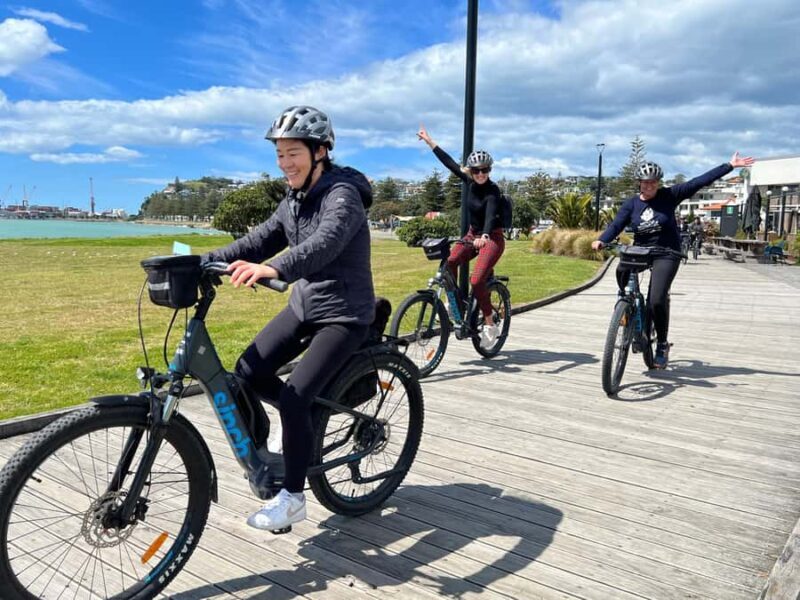 Napier: Cruise Self-Guided Cycle Ride to Winery - Half Day - Authentic Experiences and Traveler Feedback