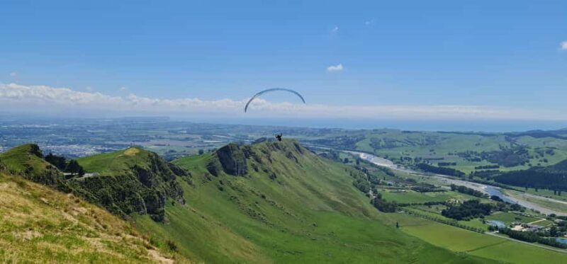 Napier: Highlights & Tour Exploring the Best of this Region - Highlights & Why They Matter
