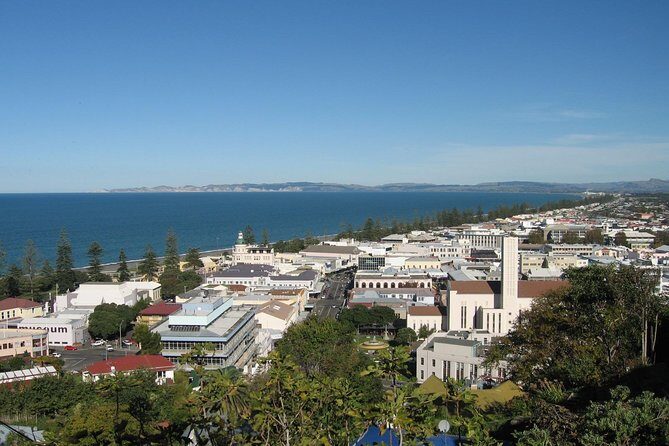 Napier Shore Excursion: City Sights and Hawke's Bay Tour - A Practical Overview of the Napier Shore Excursion