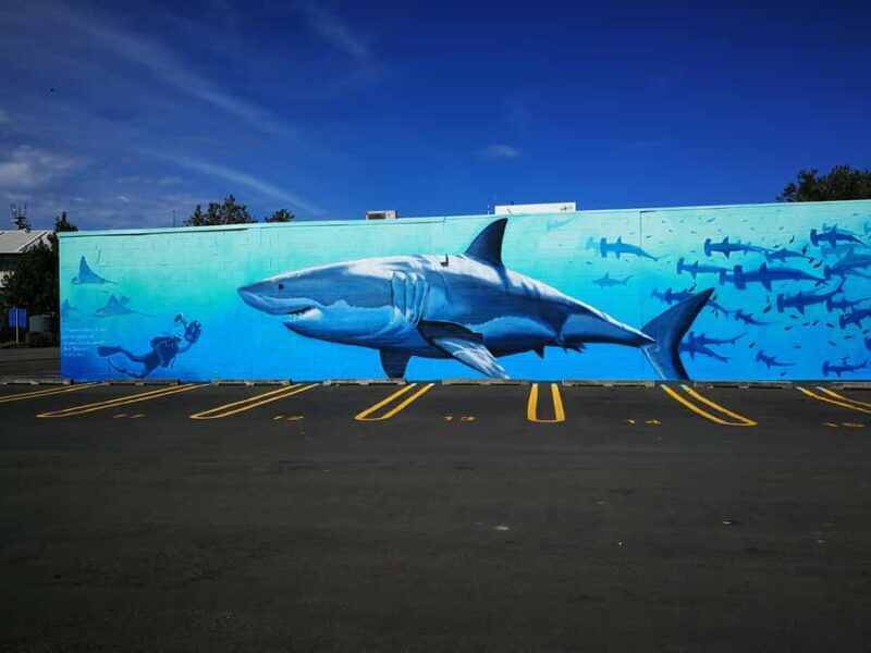 Napier: Shore Excursion with Wine Tasting and Platter - What the Reviews Say