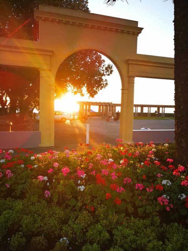 Napier: Shore Excursion with Wine Tasting and Platter - FAQ