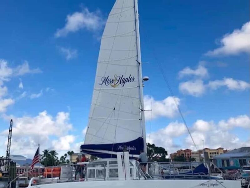 Naples: Catamaran Cruises with Wildlife Views - Key Points