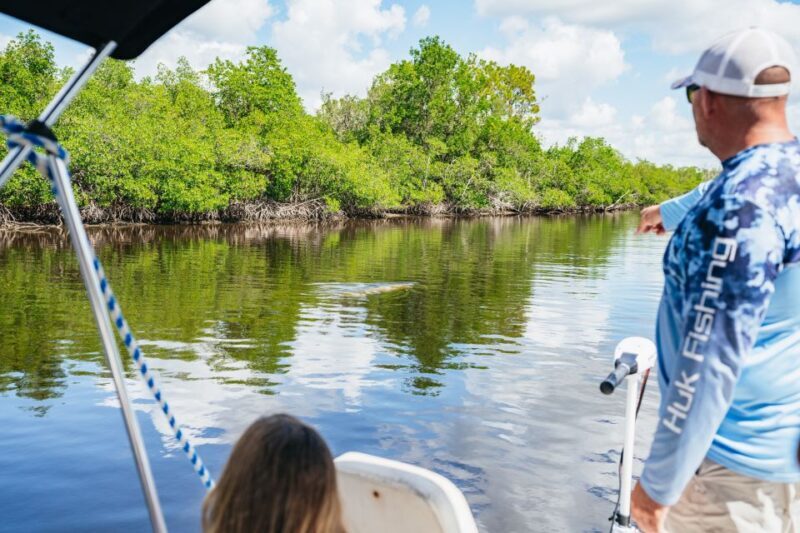 Naples, FL: Manatee, Dolphin, 10,000 Islands Beach Eco Tour - Who Should Consider This Tour?