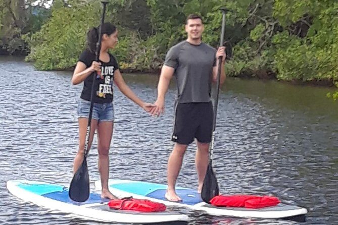 Naples Fl, Paddleboard Mangrove Forest Tour - What to Expect on Your Naples Paddleboard Tour