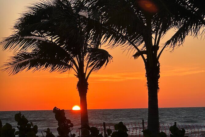 Naples Florida Sunset Tour -Trike Tour of Naples - The Highlights and How They Come to Life