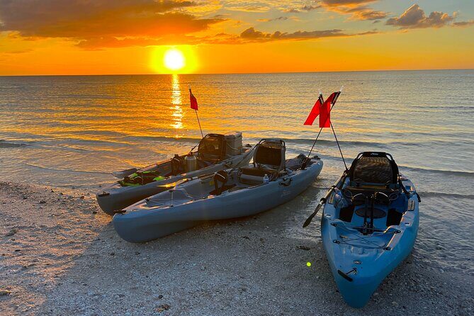 Naples Guided Sunset Kayak Tour Activity - Introduction to the Experience