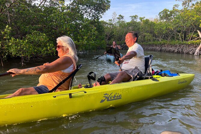 Naples Guided Sunset Kayak Tour Activity - What Makes This Tour Stand Out?