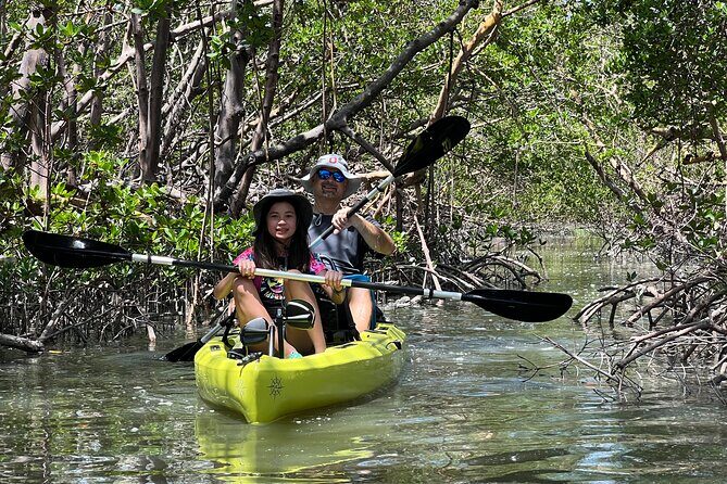 Naples Guided Sunset Kayak Tour Activity - Frequently Asked Questions