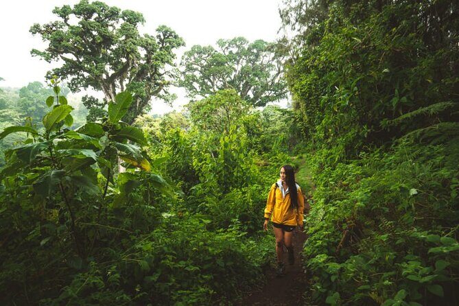 Napuru Waterfalls - FAQ