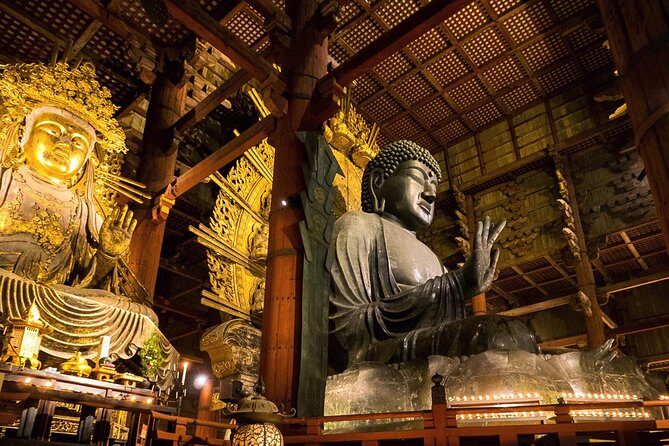Nara 8hr Private Tour - Kyoto DEP. with Licensed Guide - FAQ