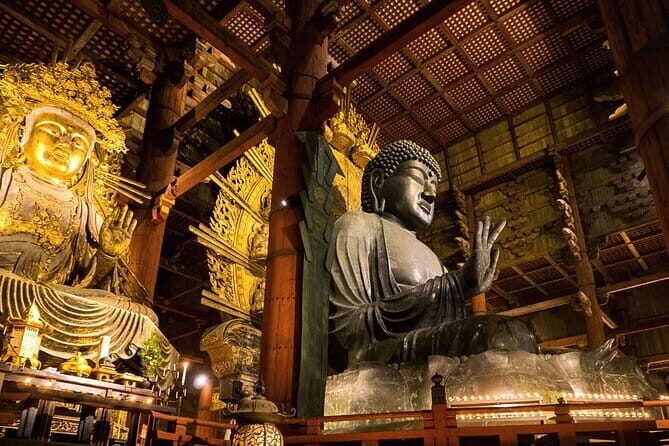 Nara 8hr Private Tour - Osaka DEP. with Licensed Guide - Key Points