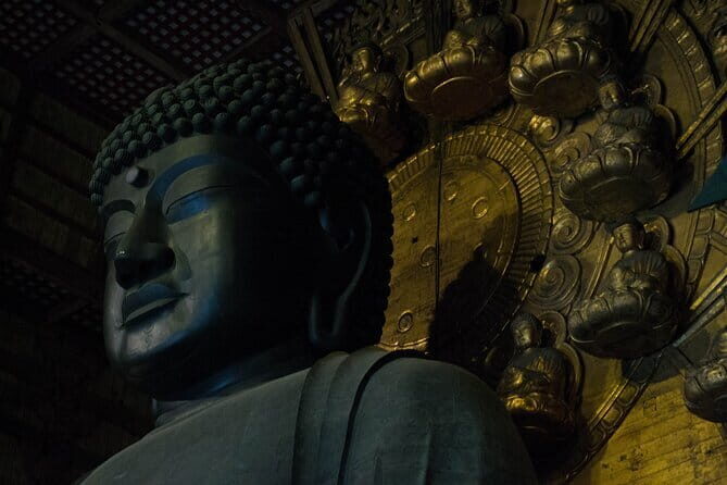 NARA and KYOTO 1 Day Bus Tour - A Deep Dive into the Tour Experience