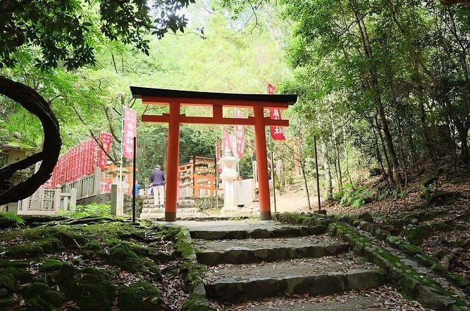 Nara and kyoto adventures private vehicle tour - Authentic Experiences and Traveler Feedback