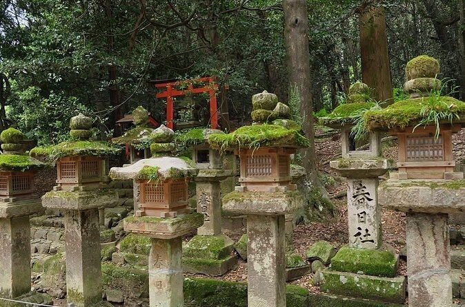 Nara and kyoto adventures private vehicle tour - The Sum Up: Who Is This Tour Best For?