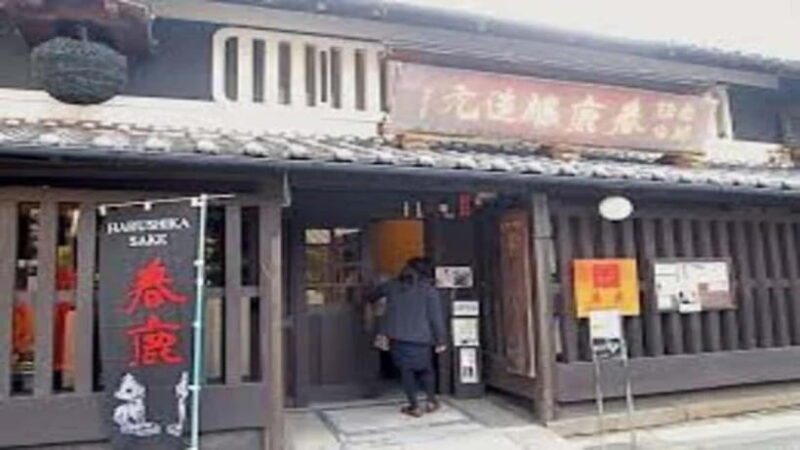 Nara attractive tour with local guide (4hours) - Who Should Consider This Tour?