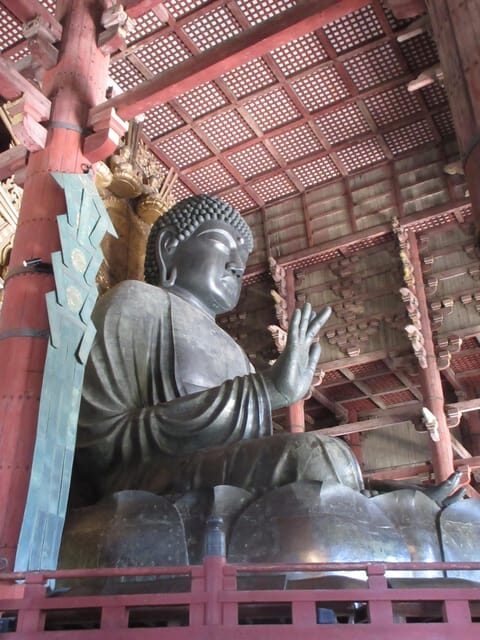 NARA: Budda gigante, Cervi liberi nel parco (Guida italiana) - FAQs