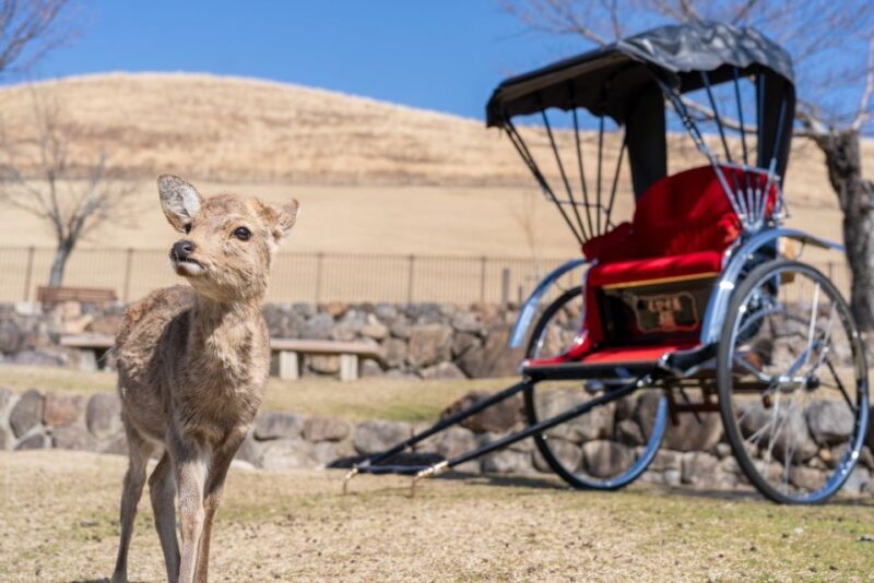 Nara: Cultural Heritage Tour by Rickshaw - An Introduction to the Rickshaw Experience in Nara