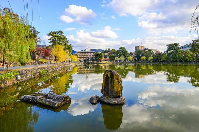 Nara Day Trip from Osaka with a Local: Private & Personalized - Exploring Nara with a Private Guide: What You Can Expect