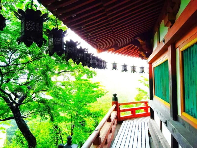 Nara: Discover a Giant Stone Buddha in the Forest Hills - A Closer Look at the Tour Experience