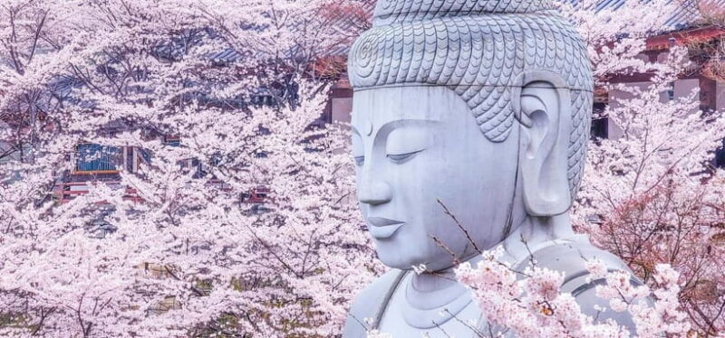 Nara: Discover a Giant Stone Buddha in the Forest Hills - Practical Tips for Visitors