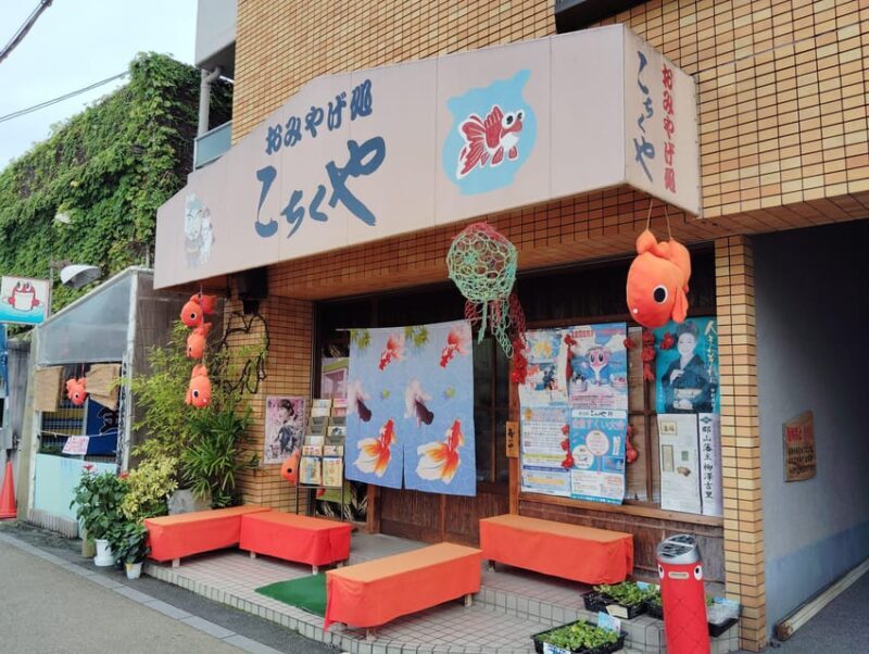 Nara: Discover Koriyamas Goldfish Charm - 2-Hour - Who Will Love This Tour?