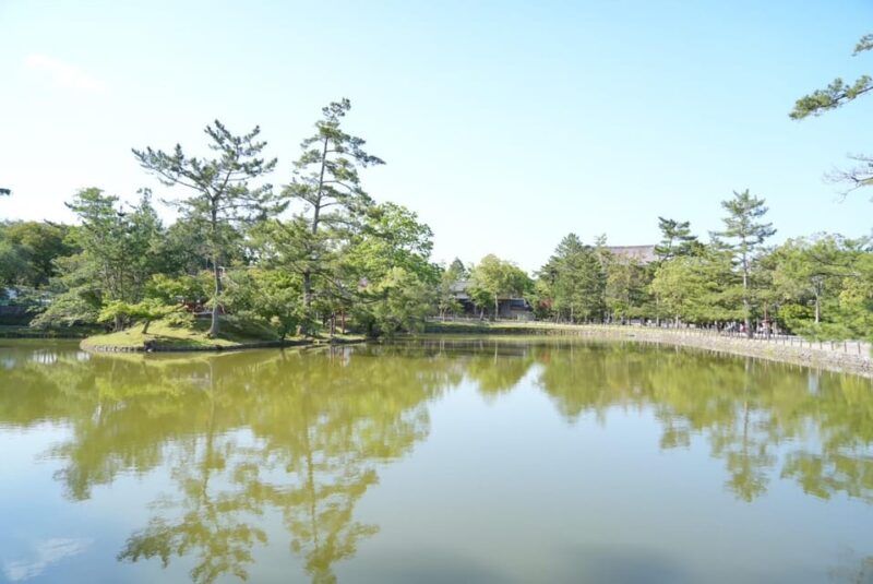 Nara Early Bird Tour (Kyoto Departure Option Available) - Introduction: Why This Tour Might Be Perfect for You