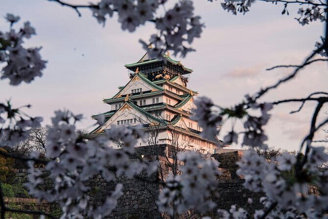 Nara Early Bird Tour (Osaka Departure Option) - Practical Details and Value