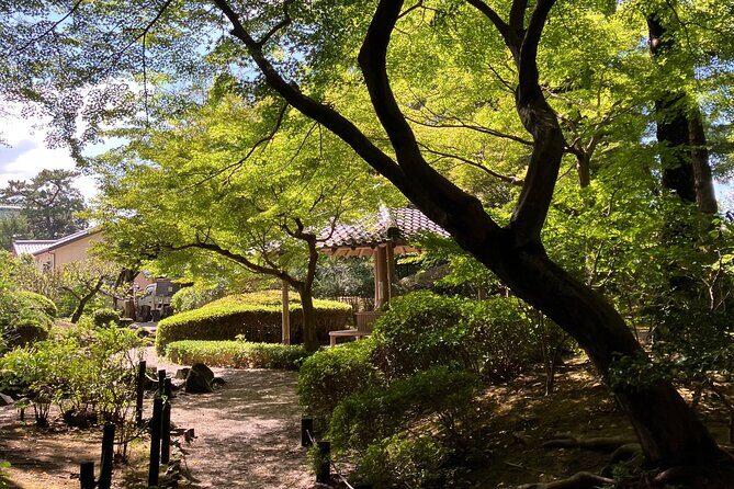 Nara: Essential Private Tour with Deer Park and Temples - The Sum Up