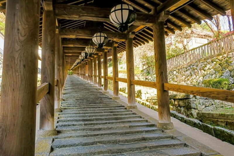 Nara: Explore Hasederas Giant Kannon and Cliffside Temple - The Sum Up