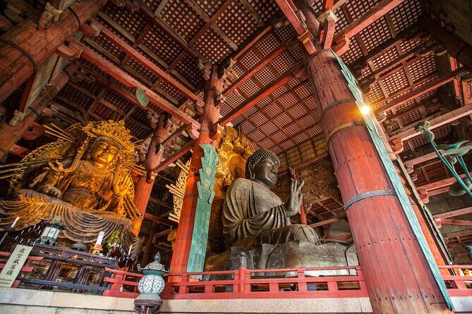 Nara Half-Day Bus Tour from Kyoto - The Itinerary in Detail