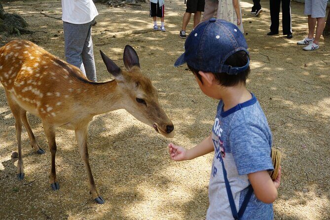 Nara Half-Day Bus Tour from Kyoto - FAQ