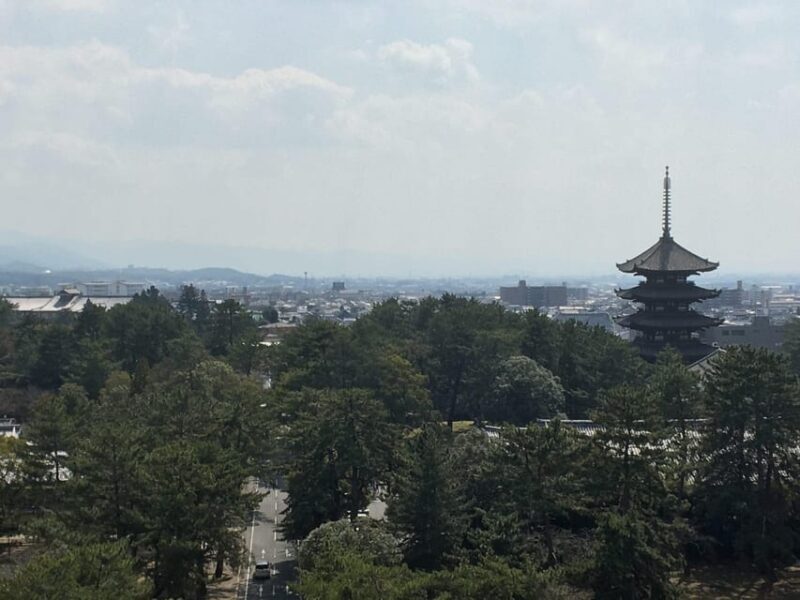 Nara: Half-Day Private Guided Tour - Practical Details and Tips