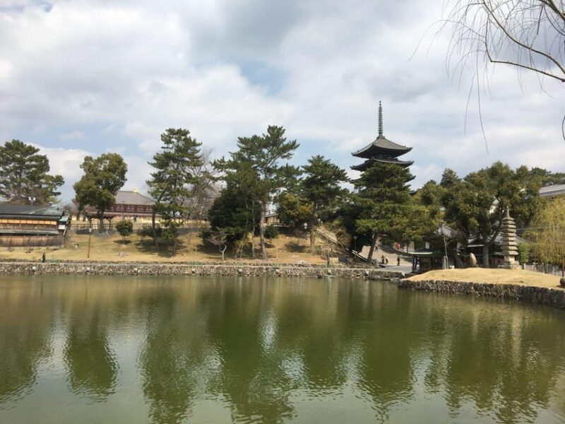 Nara: Half-Day Private Guided Tour - Summary and Final Thoughts