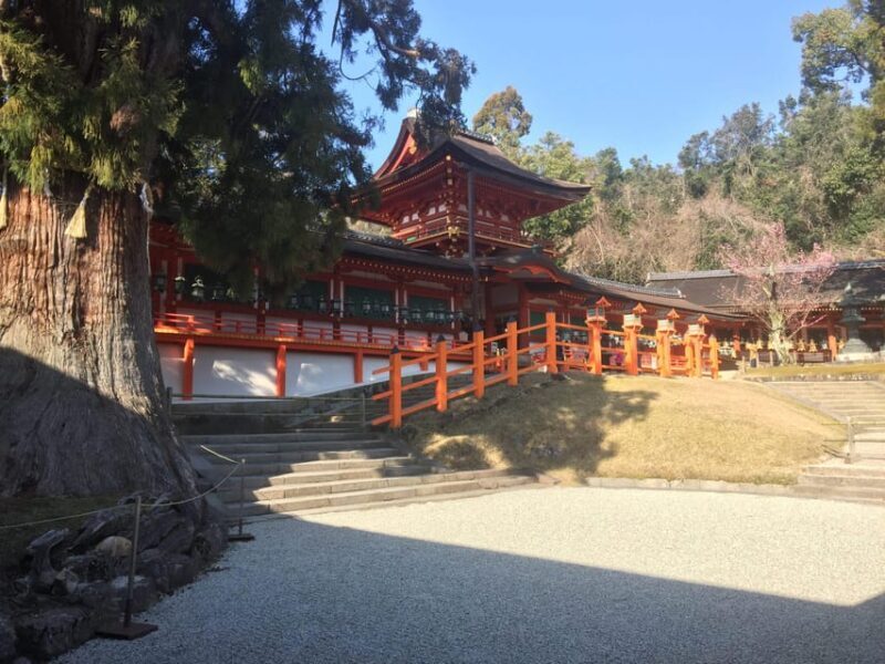 Nara: Half-Day Private Guided Tour - FAQs