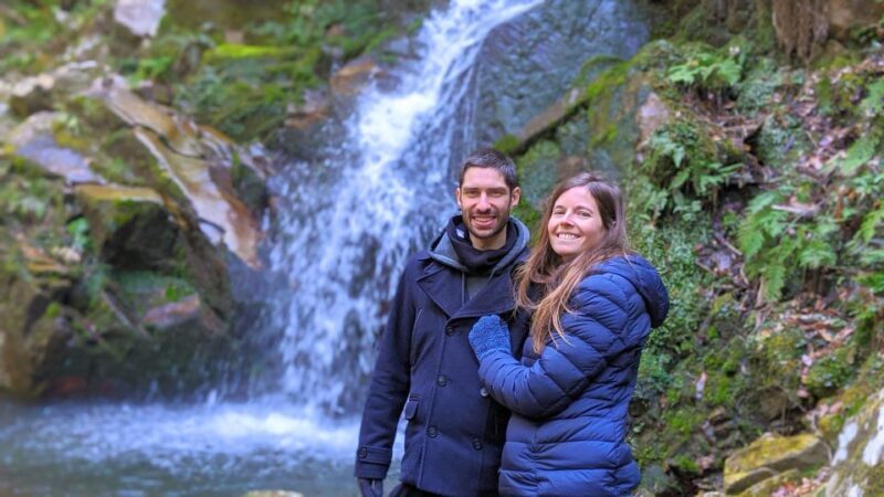 Nara: Heart of Nature Temple, Forest, & Waterfall Bike Tour - What to Expect from the Nara Bike Tour