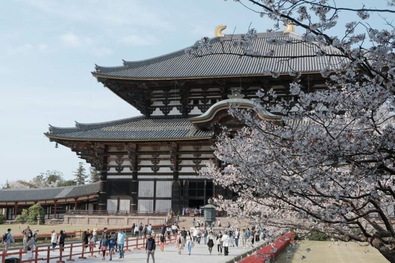 Nara Heritage Walkabout from Nara Park to Todaji-ji temple - What to Expect from This Nara Walkabout