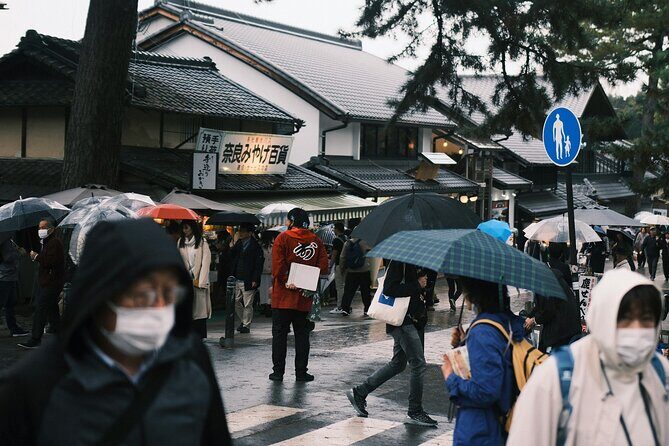 Nara Heritage Walkabout from Nara Park to Todaji Temple - An Introduction to the Nara Heritage Walkabout