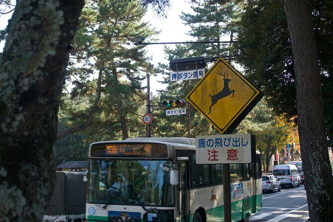 Nara Heritage Walkabout from Nara Park to Todaji Temple - The Experience You Can Expect