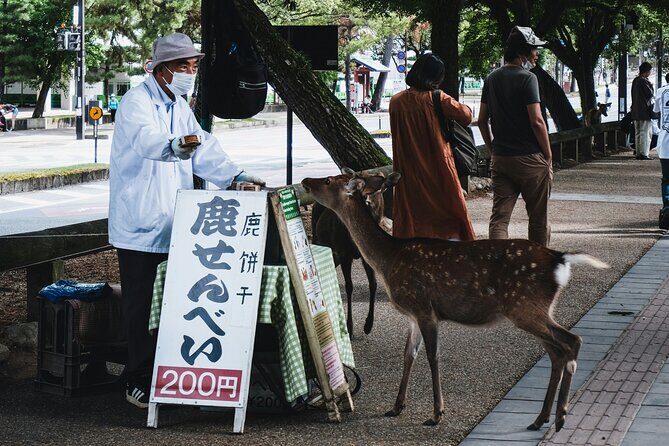 Nara Heritage Walkabout from Nara Park to Todaji Temple - Who Will Love This Tour?