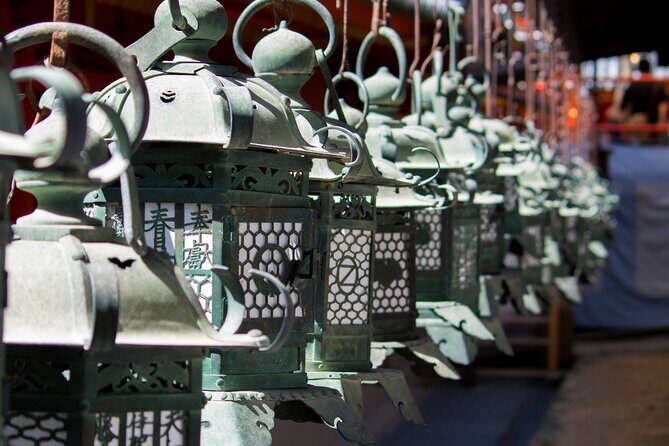 Nara Heritage Walkabout from Nara Park to Todaji Temple - The Sum Up — Is This Tour for You?
