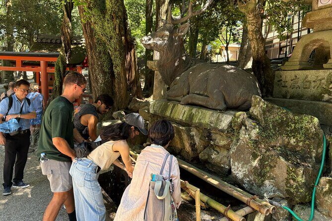 Nara Highlight Walking Tour with Furoshiki Experience with Lunch - What the Reviews Say