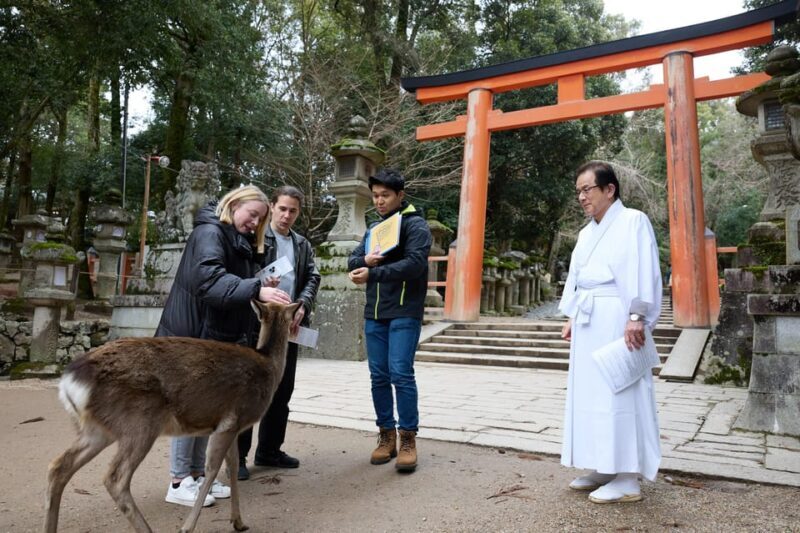 Nara: Kasuga Taisha, Sacred Deer Shrine Guided Tour - Key Points