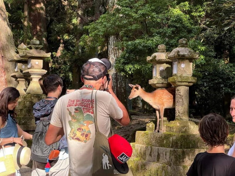 Nara: Kasuga Taisha, Sacred Deer Shrine Guided Tour - Authenticity and Visitor Feedback