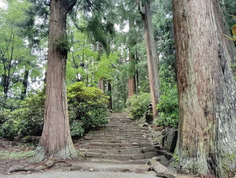 Nara: Muro-ji Temple Serenity, Tradition and Sacred Beauty - The Sum Up