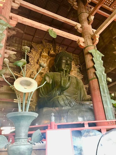 Nara Park and Todai-ji Private Spanish Tour - Practical Details: What to Expect